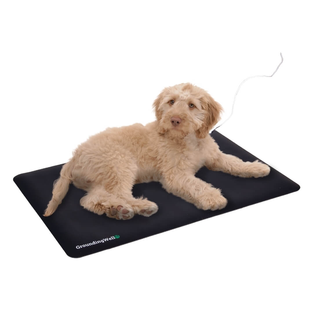 Z Wellness Grounding Pet Mat