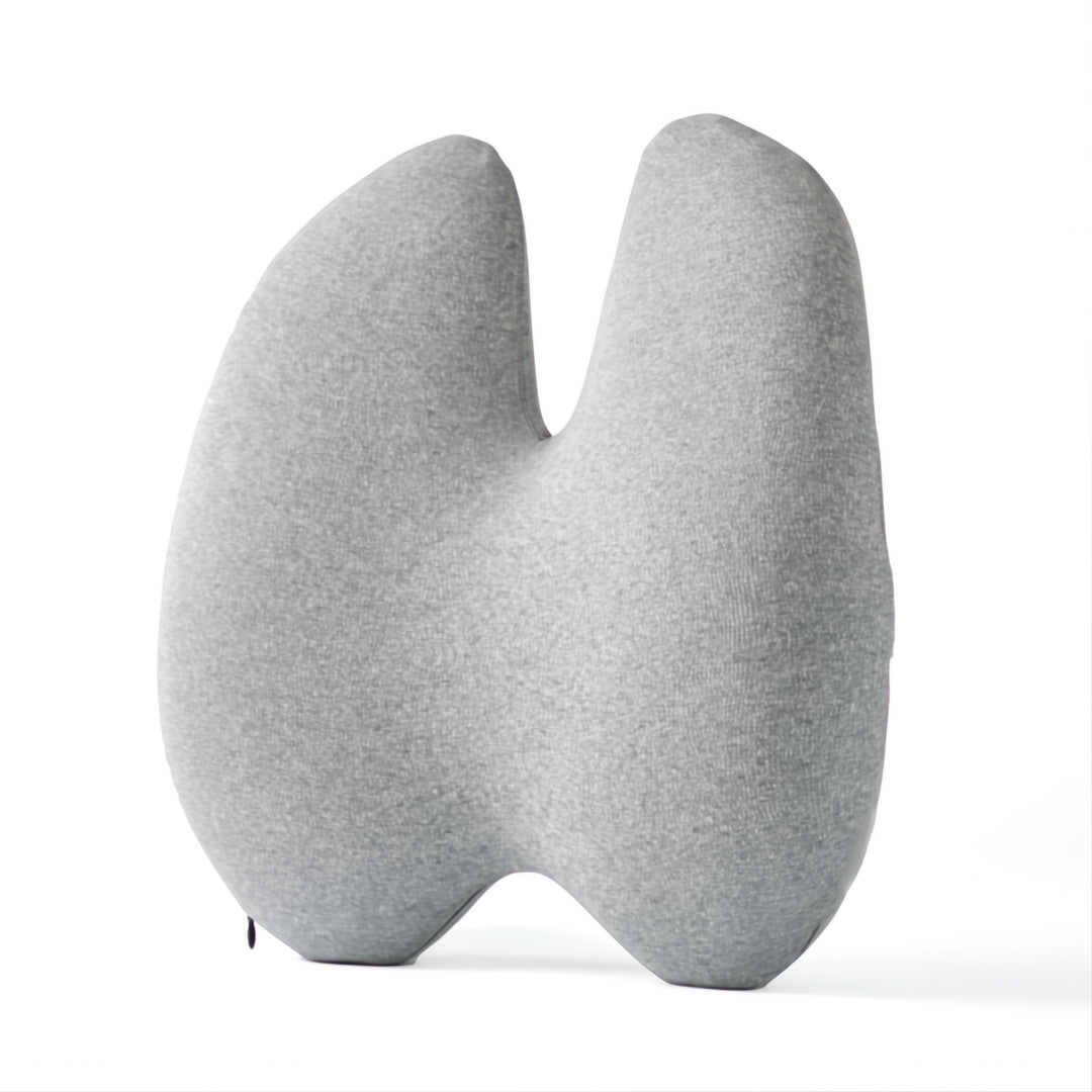 Z Wellness Ergonomic Lumbar Support Cushion