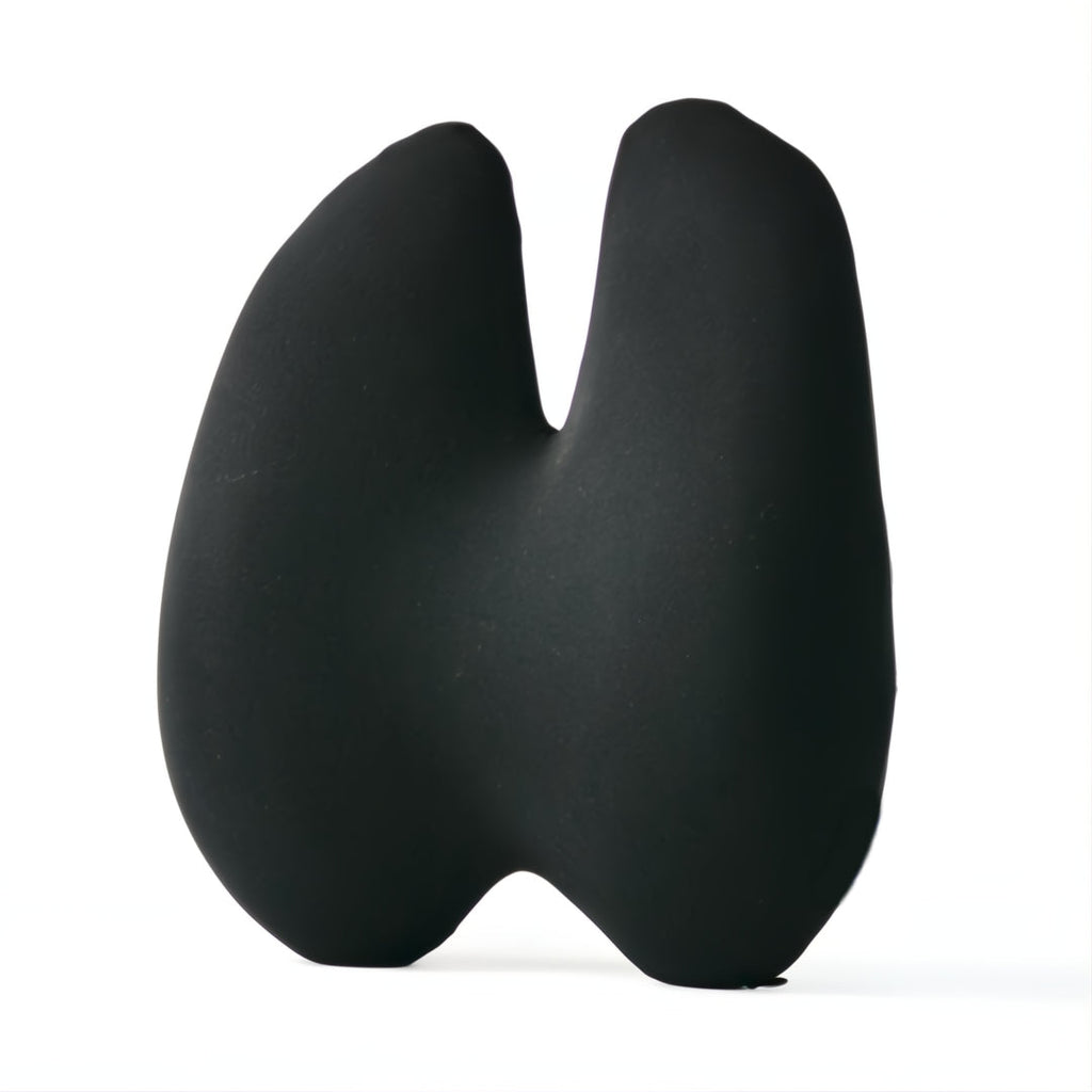 Z Wellness Ergonomic Lumbar Support Cushion