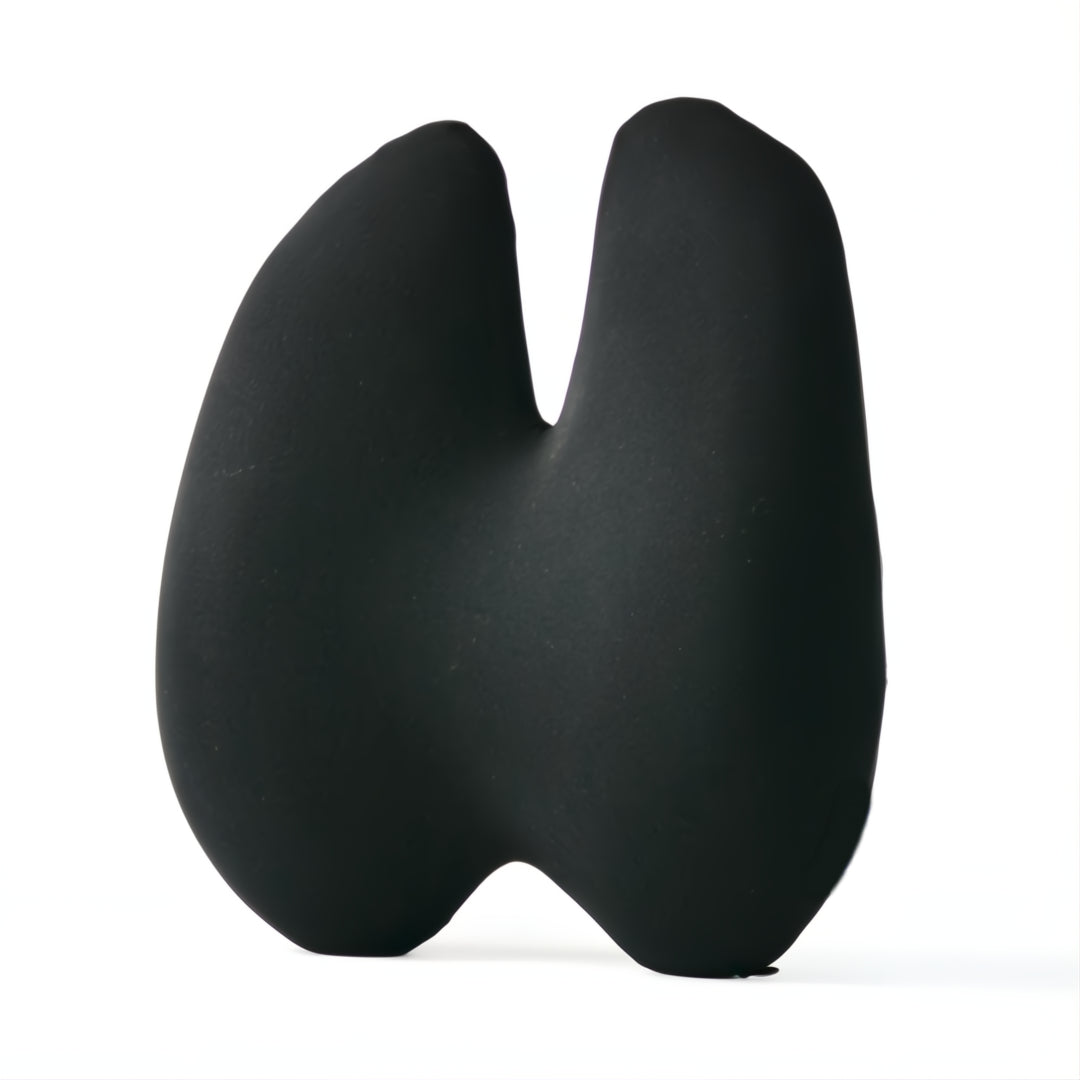 Z Wellness Ergonomic Lumbar Support Cushion